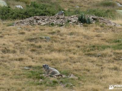 Andorra-País de los Pirineos; fotos de lagos de covadonga la charca verde la pedriza fotos naranjo d